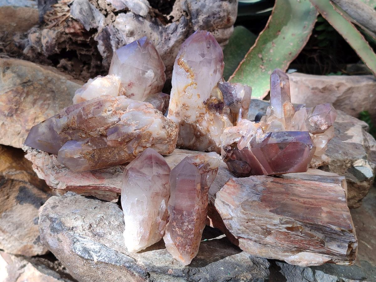Natural Red Hematoid Phantom Quartz Crystal Clusters x 6 From Karoi, Zimbabwe - Toprock Gemstones and Minerals 