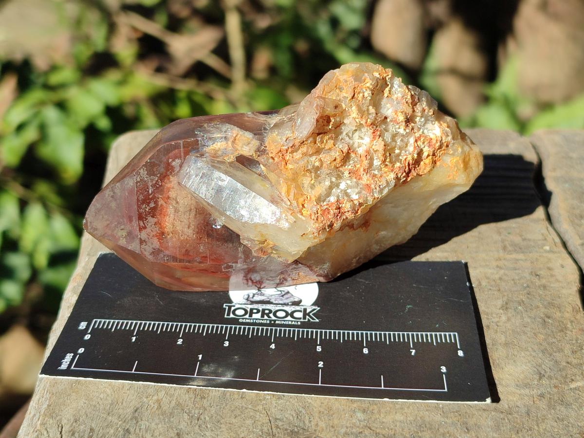 Natural Red Hematoid Phantom Quartz Crystal Clusters x 6 From Karoi, Zimbabwe - Toprock Gemstones and Minerals 