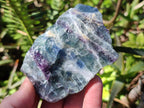 Natural Watermelon Fluorite Cobbed Specimens x 12 From Uis, Namibia - Toprock Gemstones and Minerals 