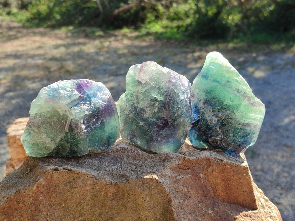 Natural Watermelon Fluorite Cobbed Specimens x 12 From Uis, Namibia - Toprock Gemstones and Minerals 