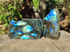 Polished One Side Labradorite Slices x 35 From Madagascar - Toprock Gemstones and Minerals 