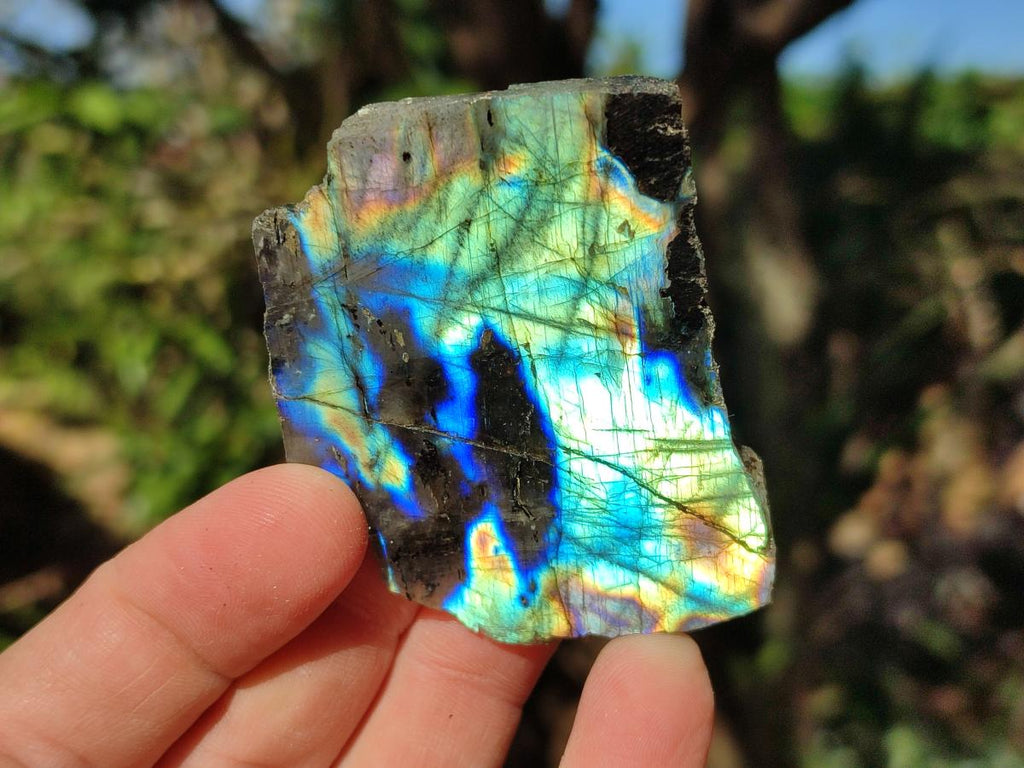 Polished One Side Labradorite Slices x 35 From Madagascar - Toprock Gemstones and Minerals 