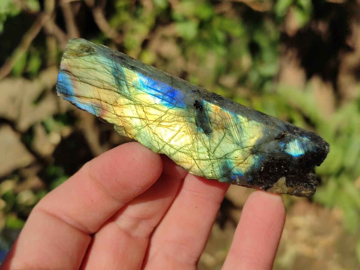 Polished One Side Labradorite Slices x 35 From Madagascar - Toprock Gemstones and Minerals 