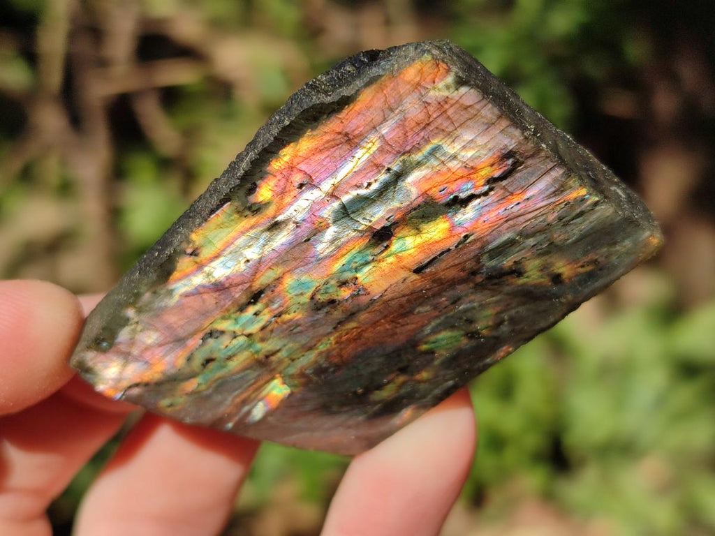 Polished One Side Labradorite Slices x 35 From Madagascar - Toprock Gemstones and Minerals 
