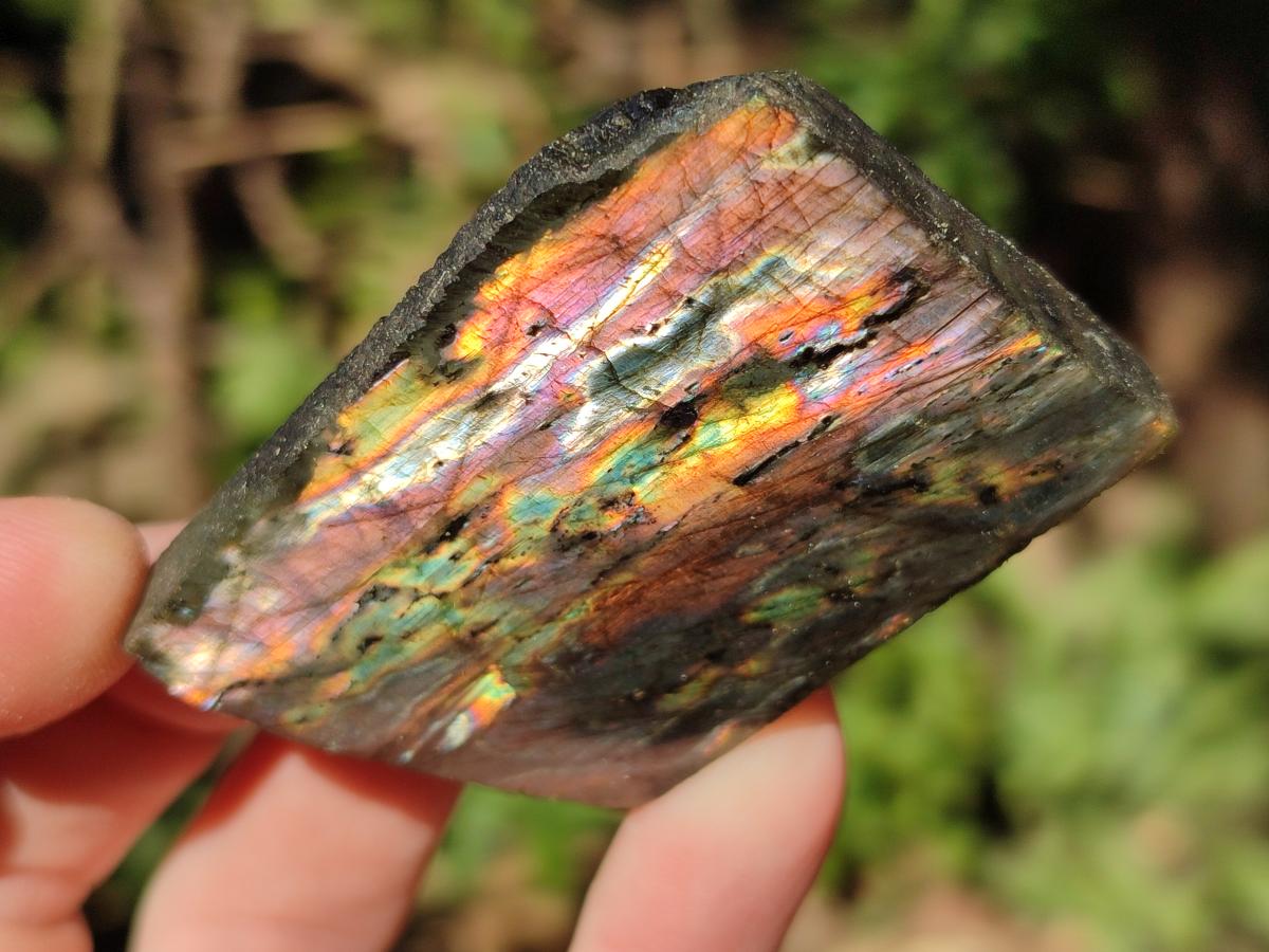Polished One Side Labradorite Slices x 35 From Madagascar - Toprock Gemstones and Minerals 