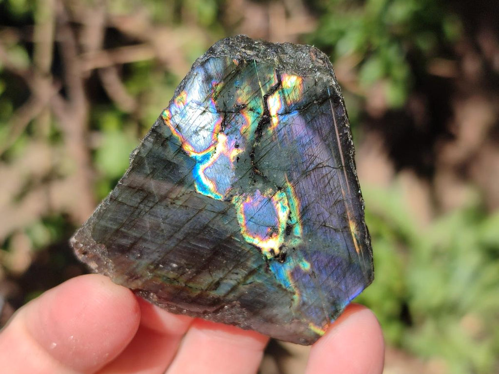 Polished One Side Labradorite Slices x 35 From Madagascar - Toprock Gemstones and Minerals 