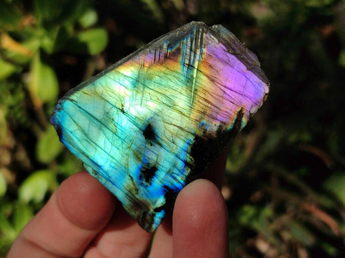 Polished One Side Labradorite Slices x 35 From Madagascar - Toprock Gemstones and Minerals 