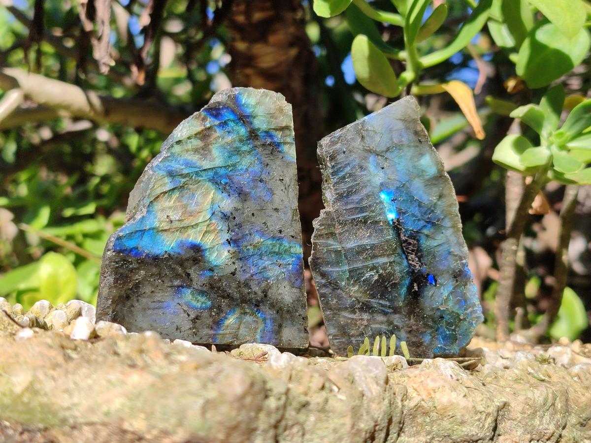 Polished One Side Labradorite Slices x 35 From Madagascar - Toprock Gemstones and Minerals 