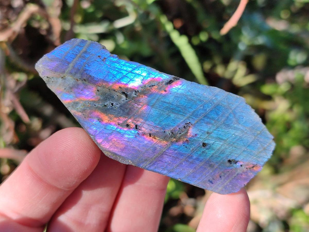 Polished One Side Labradorite Slices x 35 From Madagascar - Toprock Gemstones and Minerals 