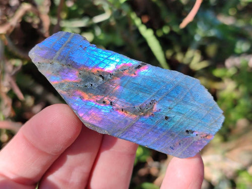 Polished One Side Labradorite Slices x 35 From Madagascar - Toprock Gemstones and Minerals 