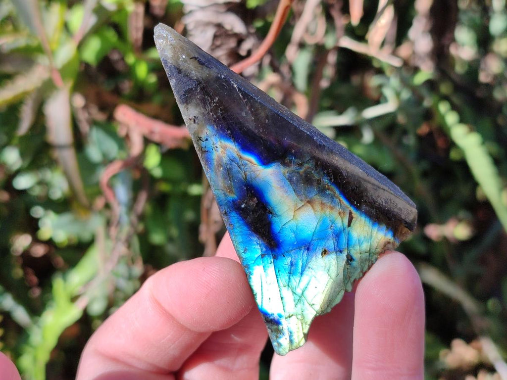 Polished One Side Labradorite Slices x 35 From Madagascar - Toprock Gemstones and Minerals 