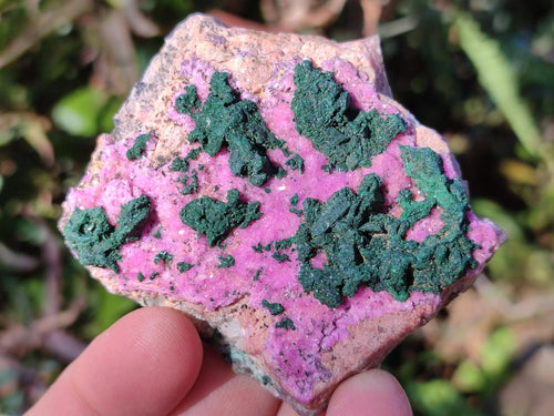 Natural Salrose Cobaltoan Dolomite Specimens with Associated Minerals x 12 From Kakanda, Congo - Toprock Gemstones and Minerals 