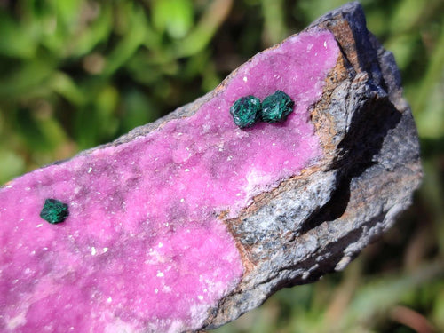 Natural Salrose Cobaltoan Dolomite Specimens with Associated Minerals x 12 From Kakanda, Congo - Toprock Gemstones and Minerals 