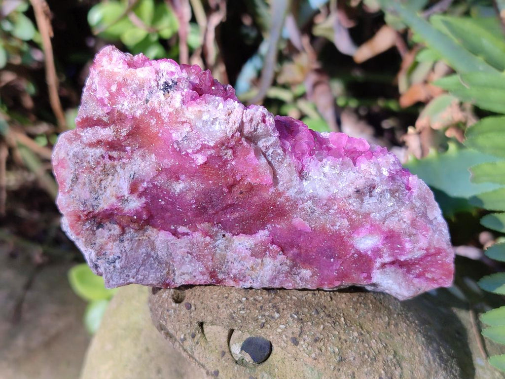 Natural Salrose Cobaltoan Dolomite Specimens with Associated Minerals x 12 From Kakanda, Congo - Toprock Gemstones and Minerals 