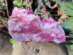 Natural Salrose Cobaltoan Dolomite Specimens with Associated Minerals x 12 From Kakanda, Congo - Toprock Gemstones and Minerals 