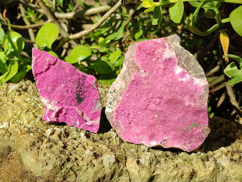 Natural Salrose Cobaltoan Dolomite Specimens with Associated Minerals x 12 From Kakanda, Congo - Toprock Gemstones and Minerals 