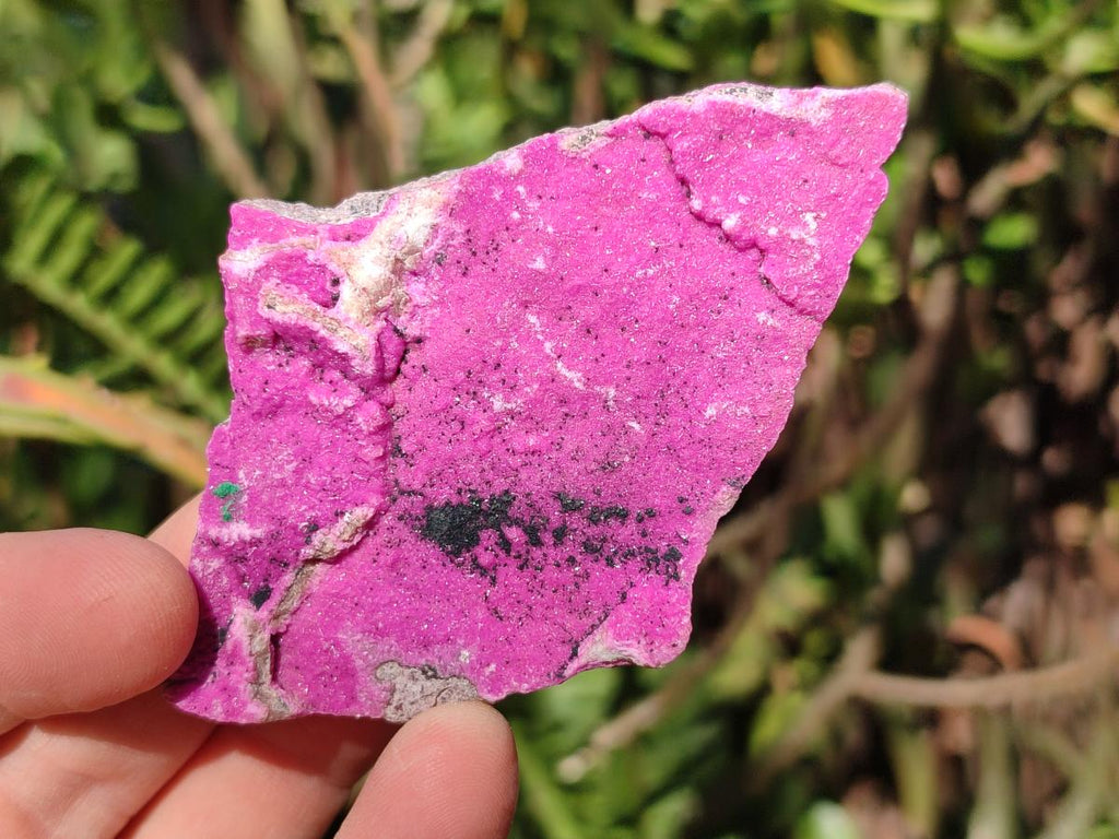 Natural Salrose Cobaltoan Dolomite Specimens with Associated Minerals x 12 From Kakanda, Congo - Toprock Gemstones and Minerals 