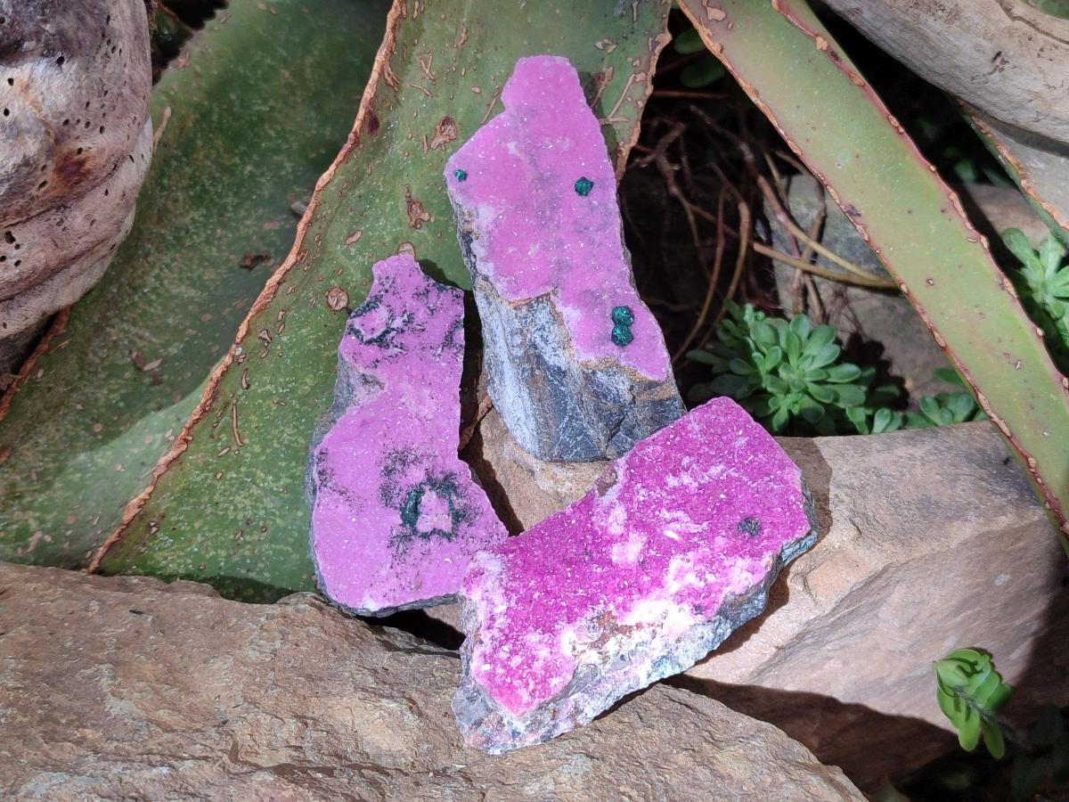 Natural Salrose Cobaltoan Dolomite Specimens with Associated Minerals x 12 From Kakanda, Congo - Toprock Gemstones and Minerals 