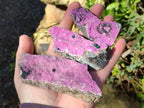 Natural Salrose Cobaltoan Dolomite Specimens with Associated Minerals x 12 From Kakanda, Congo - Toprock Gemstones and Minerals 