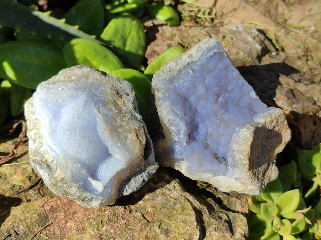 Natural Blue Lace Agate Geode Specimens x 21 From Nsanje, Malawi - Toprock Gemstones and Minerals 