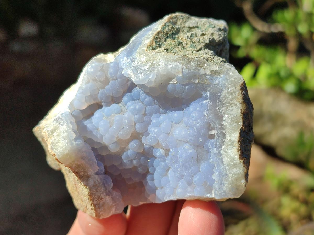 Natural Blue Lace Agate Geode Specimens x 21 From Nsanje, Malawi - Toprock Gemstones and Minerals 