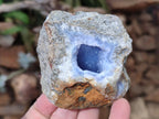 Natural Blue Lace Agate Geode Specimens x 21 From Nsanje, Malawi - Toprock Gemstones and Minerals 