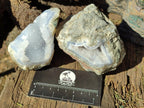 Natural Blue Lace Agate Geode Specimens x 21 From Nsanje, Malawi - Toprock Gemstones and Minerals 