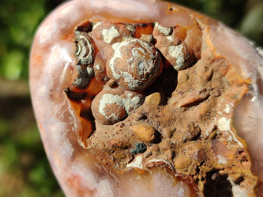 Polished Flower Agate Standing Display Pieces x 6 From Antsahalova, Madagascar - Toprock Gemstones and Minerals 