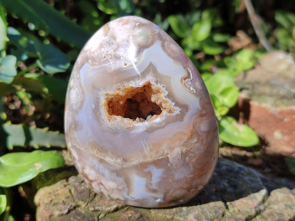 Polished Flower Agate Standing Display Pieces x 6 From Antsahalova, Madagascar - Toprock Gemstones and Minerals 