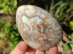 Polished Flower Agate Standing Display Pieces x 6 From Antsahalova, Madagascar - Toprock Gemstones and Minerals 