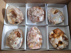 Polished Flower Agate Standing Display Pieces x 6 From Antsahalova, Madagascar - Toprock Gemstones and Minerals 