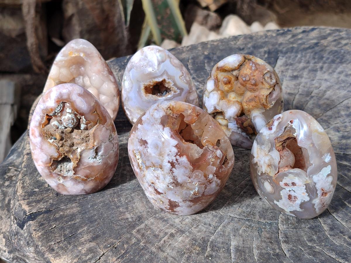 Polished Flower Agate Standing Display Pieces x 6 From Antsahalova, Madagascar - Toprock Gemstones and Minerals 
