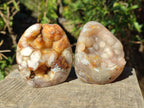 Polished Flower Agate Standing Display Pieces x 6 From Antsahalova, Madagascar - Toprock Gemstones and Minerals 