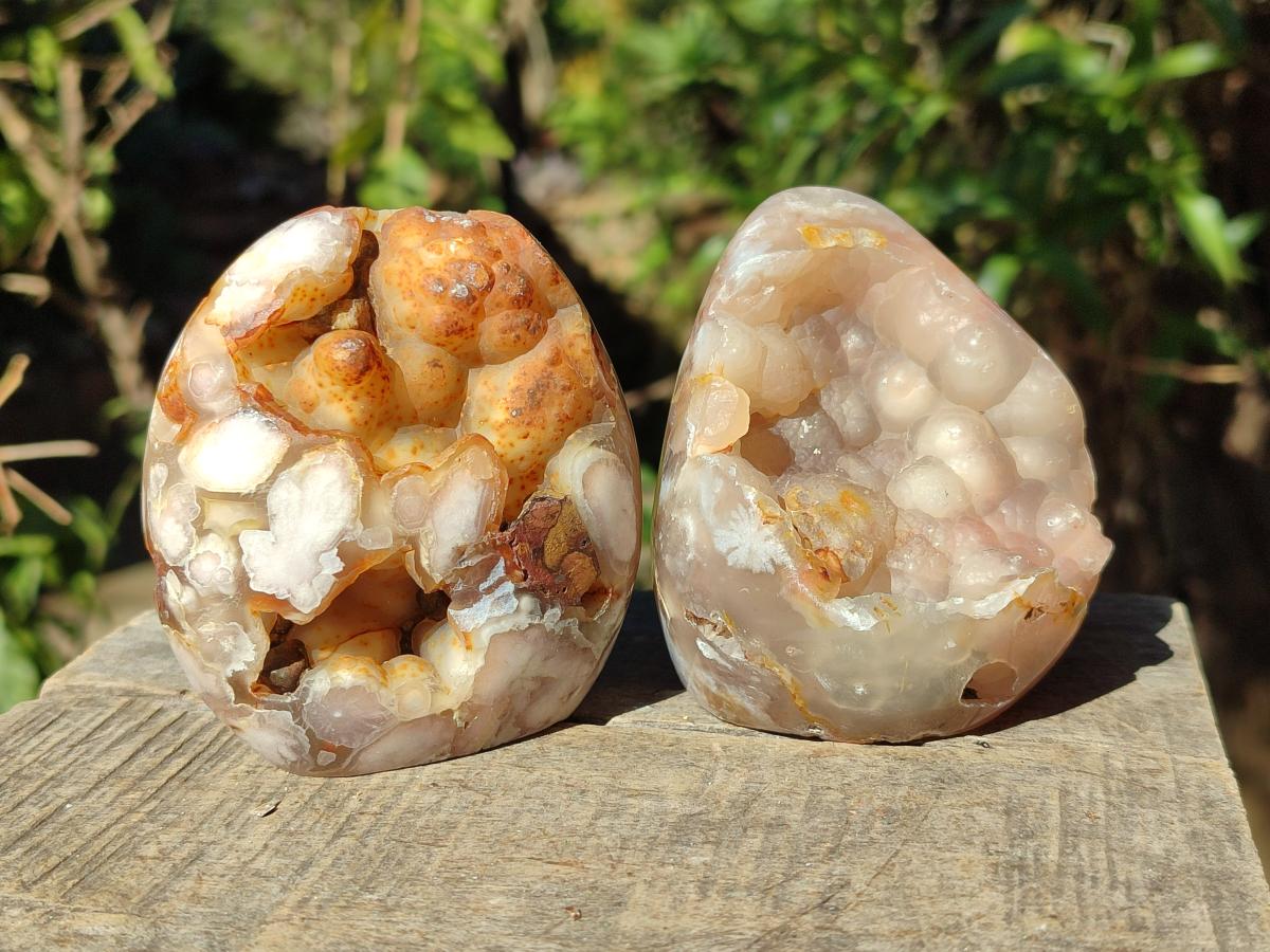 Polished Flower Agate Standing Display Pieces x 6 From Antsahalova, Madagascar - Toprock Gemstones and Minerals 