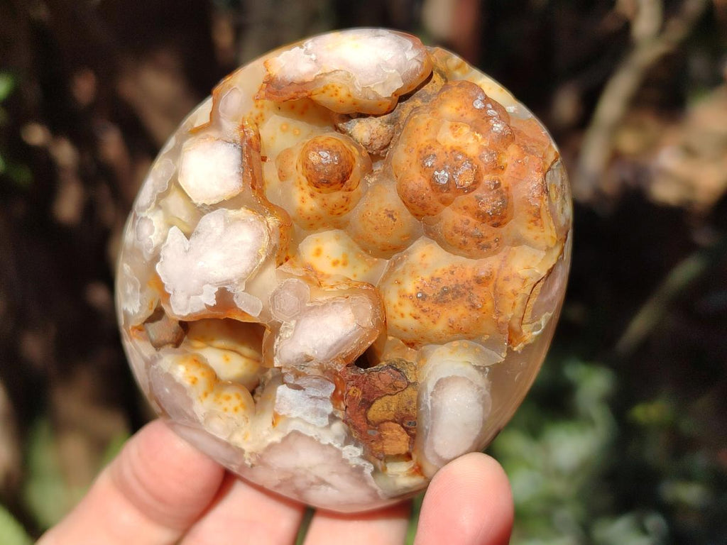 Polished Flower Agate Standing Display Pieces x 6 From Antsahalova, Madagascar - Toprock Gemstones and Minerals 
