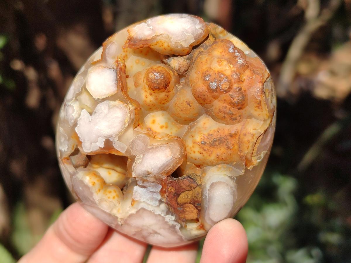 Polished Flower Agate Standing Display Pieces x 6 From Antsahalova, Madagascar - Toprock Gemstones and Minerals 