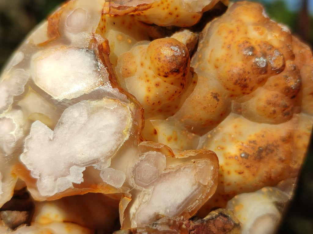 Polished Flower Agate Standing Display Pieces x 6 From Antsahalova, Madagascar - Toprock Gemstones and Minerals 