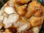 Polished Flower Agate Standing Display Pieces x 6 From Antsahalova, Madagascar - Toprock Gemstones and Minerals 