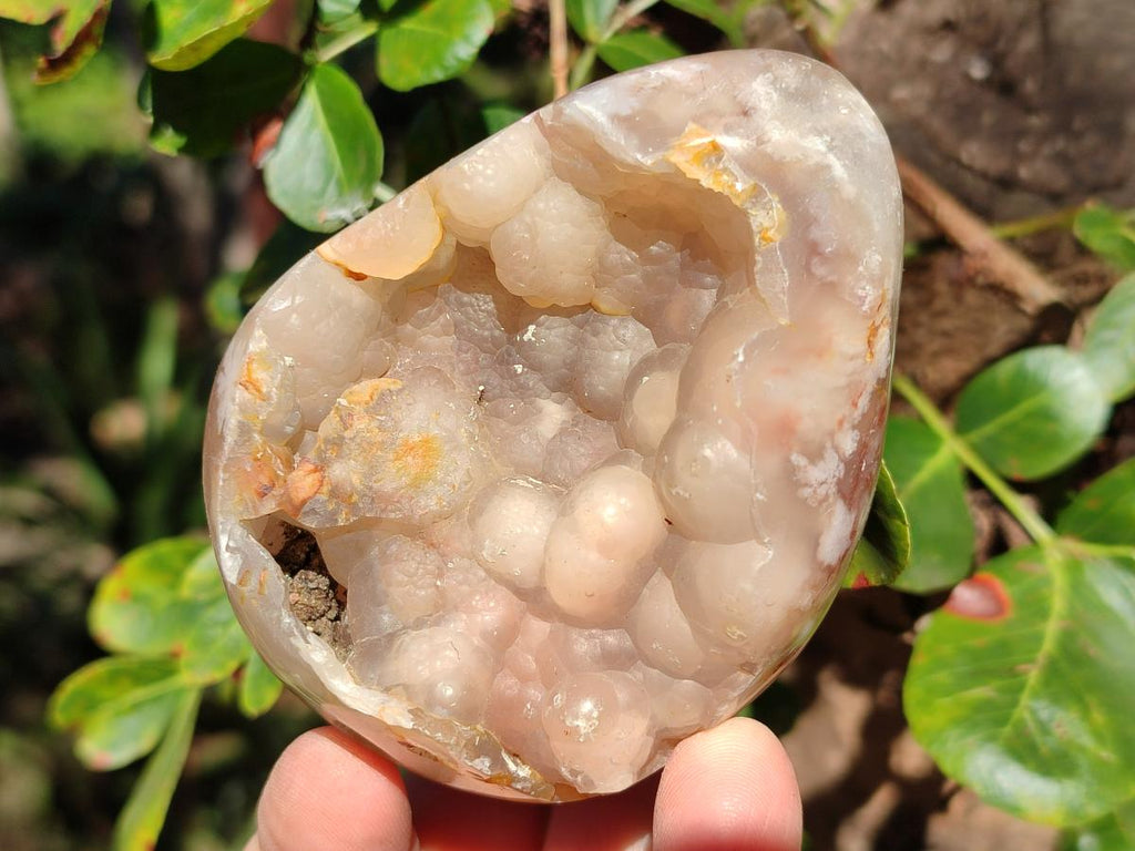 Polished Flower Agate Standing Display Pieces x 6 From Antsahalova, Madagascar - Toprock Gemstones and Minerals 