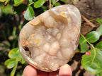 Polished Flower Agate Standing Display Pieces x 6 From Antsahalova, Madagascar - Toprock Gemstones and Minerals 
