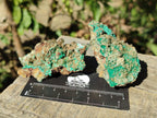 Natural Rare Bladed Barite Specimens with Malachite x 6 From Shangulowé Mine, Congo - Toprock Gemstones and Minerals 
