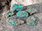Natural Rare Bladed Barite Specimens with Malachite x 6 From Shangulowé Mine, Congo - Toprock Gemstones and Minerals 
