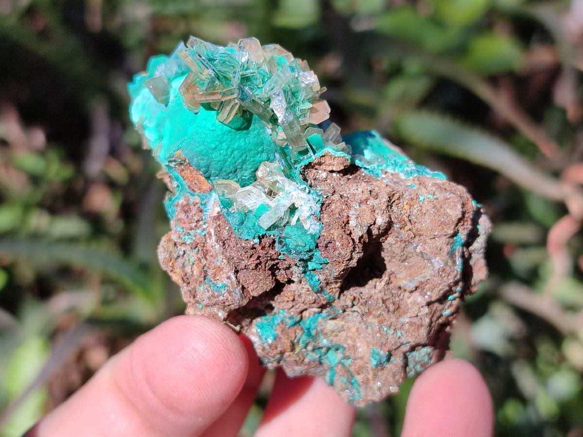 Natural Rare Bladed Barite Specimens with Malachite x 6 From Shangulowé Mine, Congo - Toprock Gemstones and Minerals 