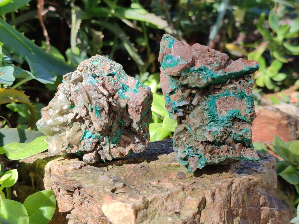 Natural Rare Bladed Barite Specimens with Malachite x 6 From Shangulowé Mine, Congo - Toprock Gemstones and Minerals 