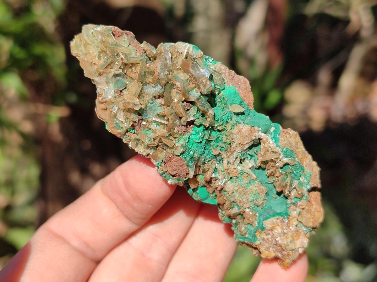 Natural Rare Bladed Barite Specimens with Malachite x 6 From Shangulowé Mine, Congo - Toprock Gemstones and Minerals 