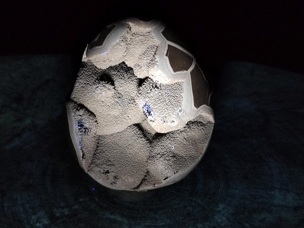 Polished Large Septerye Sauvage "Dragons Egg" Geode x 1 From Mahajanga, Madagascar - Toprock Gemstones and Minerals 