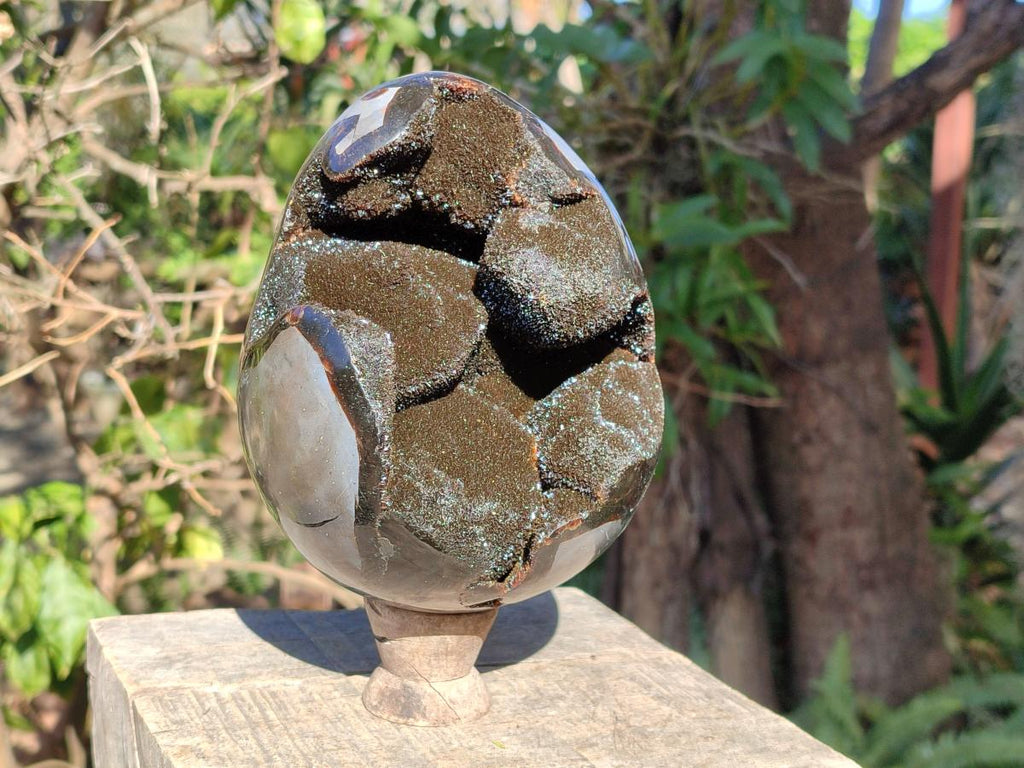Polished Large Septerye Sauvage "Dragons Egg" Geode x 1 From Mahajanga, Madagascar - Toprock Gemstones and Minerals 