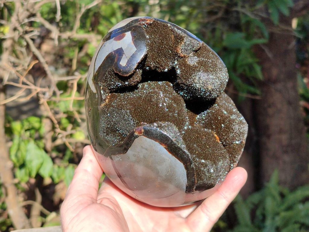 Polished Large Septerye Sauvage "Dragons Egg" Geode x 1 From Mahajanga, Madagascar - Toprock Gemstones and Minerals 