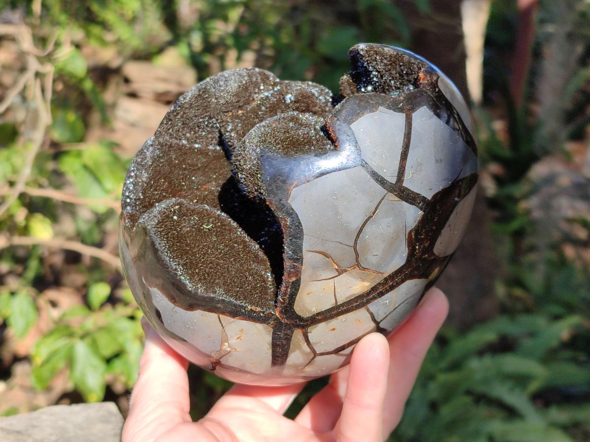 Polished Large Septerye Sauvage "Dragons Egg" Geode x 1 From Mahajanga, Madagascar - Toprock Gemstones and Minerals 