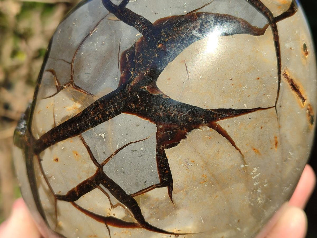 Polished Large Septerye Sauvage "Dragons Egg" Geode x 1 From Mahajanga, Madagascar - Toprock Gemstones and Minerals 